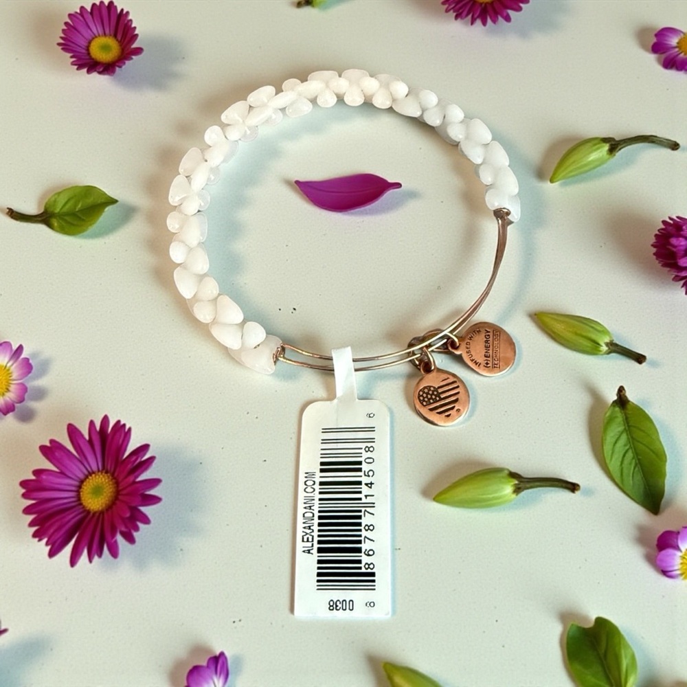🩷ALEX AND ANI🩷Birch Boulder Beaded Bangle in Rafaelian Rose Gold/NWT